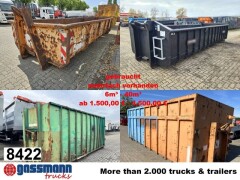 Andere Hagemann & Partner C 30,5 Abrollcontainer mit 