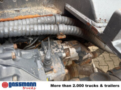 Iveco Trakker AT190T33W/P 4x4, Winterdienstausstattung 